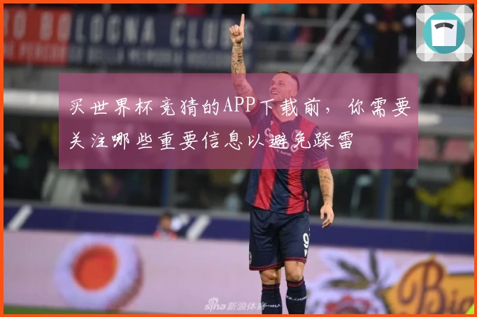 买世界杯竞猜的APP下载前，你需要关注哪些重要信息以避免踩雷