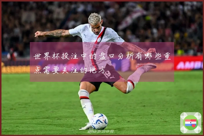 世界杯投注中的盘口分析有哪些重点需要关注的地方