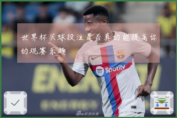世界杯买球投注是否真的能提高你的观赛乐趣