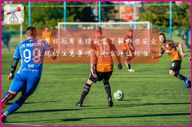 世界杯冠军竞猜前需了解哪些安全合规的注意事项与平台评估标准