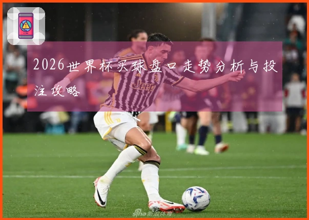 2026世界杯买球盘口走势分析与投注攻略