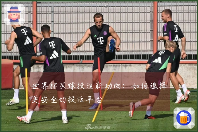 世界杯买球投注新动向：如何选择更安全的投注平台