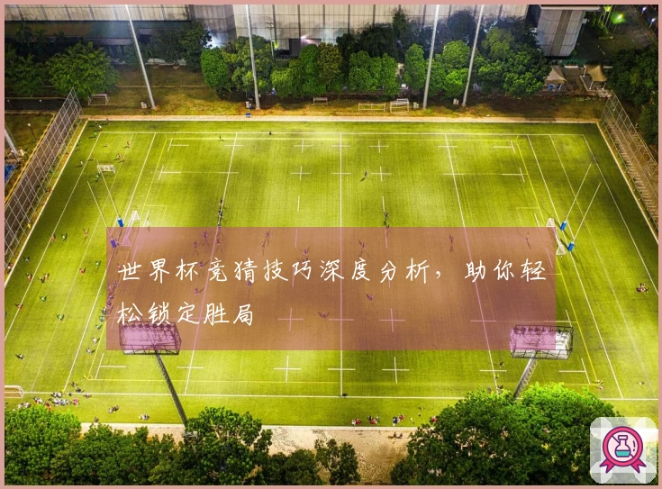 世界杯竞猜技巧深度分析，助你轻松锁定胜局
