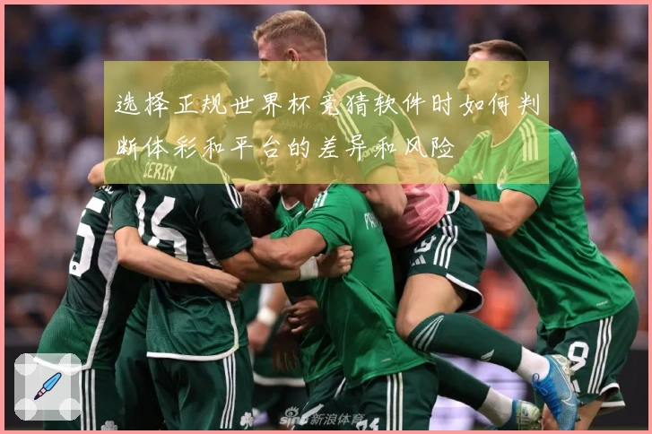 选择正规世界杯竞猜软件时如何判断体彩和平台的差异和风险