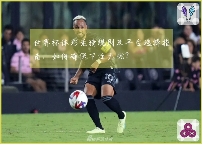 世界杯体彩竞猜规则及平台选择指南，如何确保下注无忧？