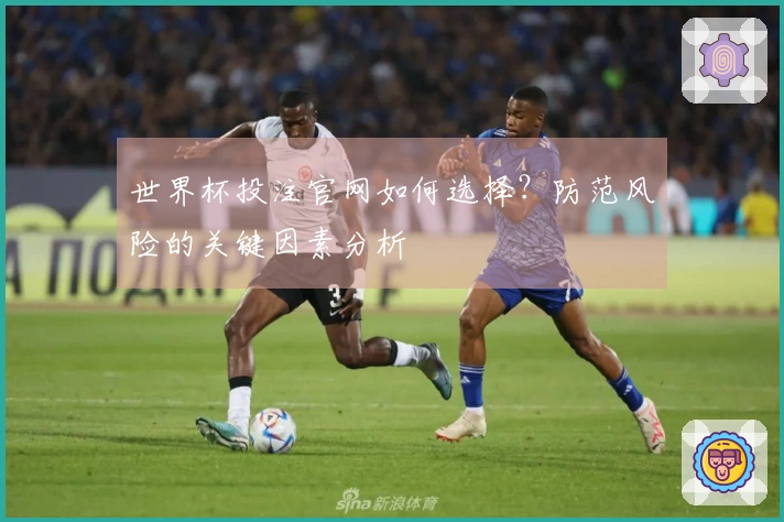 世界杯投注官网如何选择？防范风险的关键因素分析