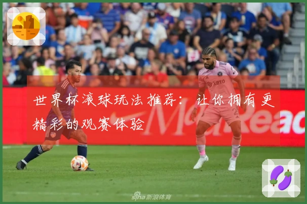 世界杯滚球玩法推荐:让你拥有更精彩的观赛体验
