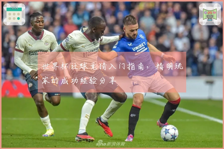 世界杯让球竞猜入门指南，精明玩家的成功经验分享