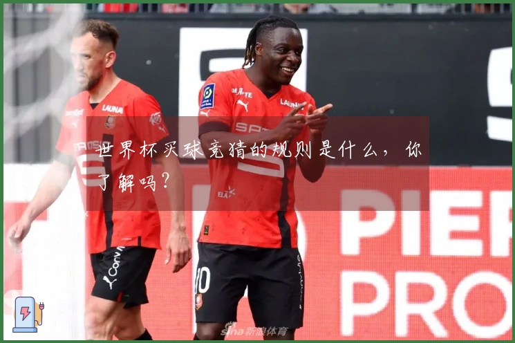 世界杯买球竞猜的规则是什么，你了解吗？
