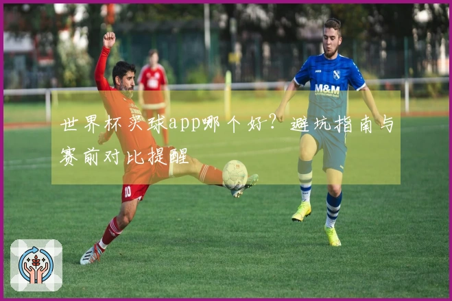 世界杯买球app哪个好？避坑指南与赛前对比提醒