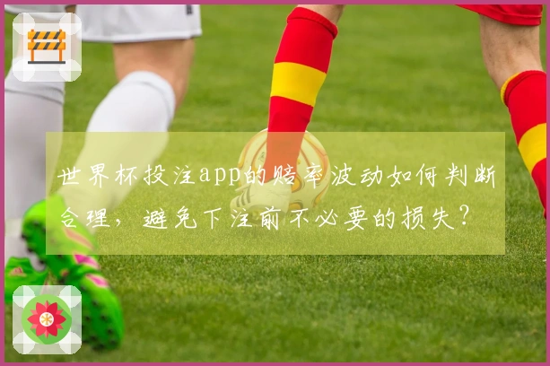世界杯投注app的赔率波动如何判断合理，避免下注前不必要的损失？
