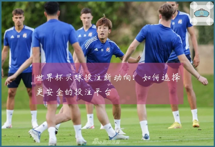 世界杯买球投注新动向：如何选择更安全的投注平台