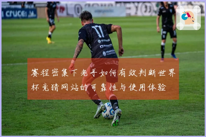 赛程密集下老手如何有效判断世界杯竞猜网站的可靠性与使用体验