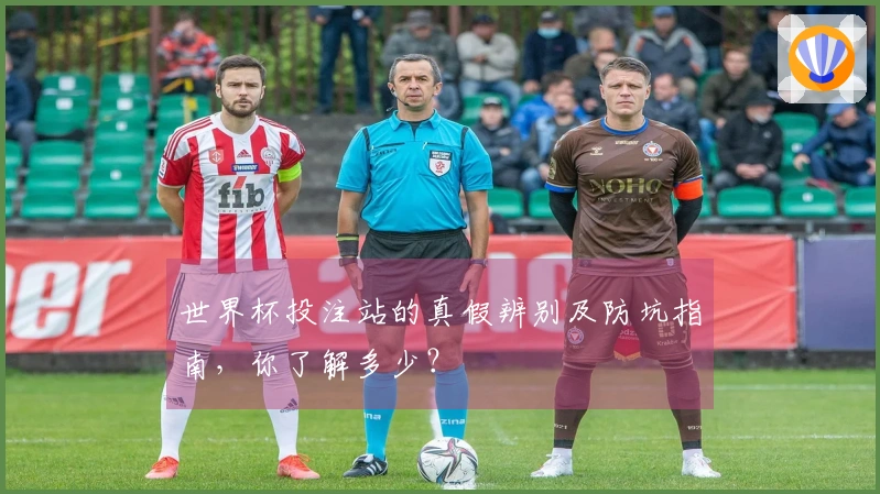 世界杯投注站的真假辨别及防坑指南，你了解多少？