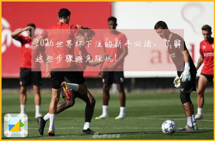 2026世界杯下注的新手必读，了解这些步骤避免踩坑！