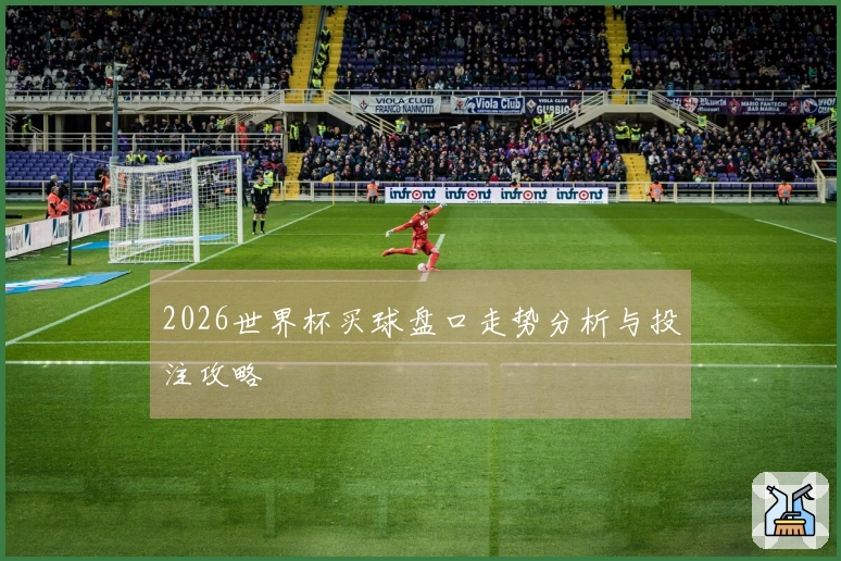 2026世界杯买球盘口走势分析与投注攻略