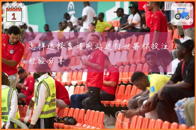 怎样选择靠谱网站进行世界杯投注经验分享