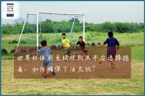 世界杯体彩竞猜规则及平台选择指南，如何确保下注无忧？