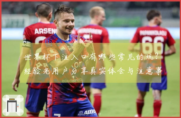 世界杯下注入口有哪些常见的坑？经验老用户分享真实体会与注意事项