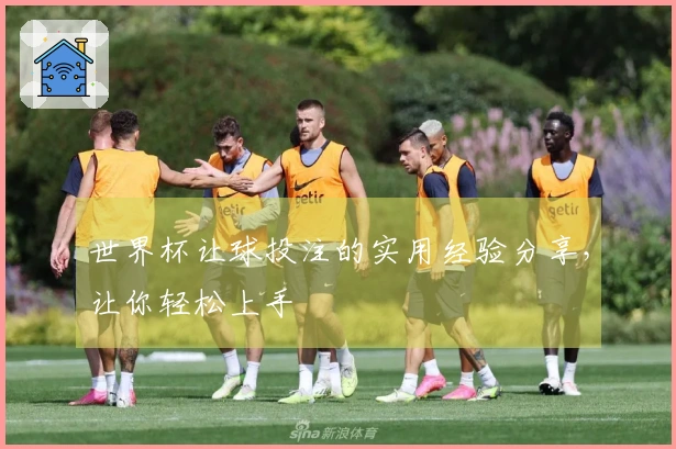世界杯让球投注的实用经验分享，让你轻松上手